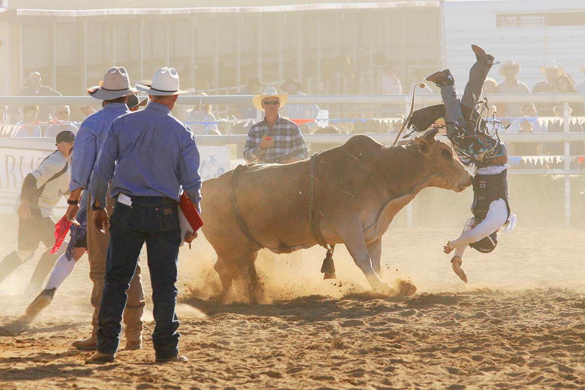 Australian-Rodeo-Cowboys16.jpg