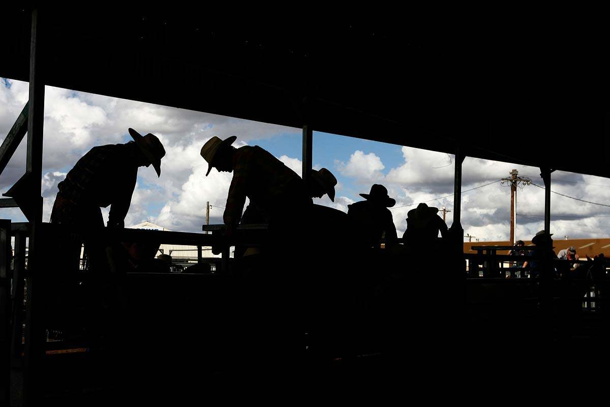 Australian-Rodeo-Cowboys18.jpg