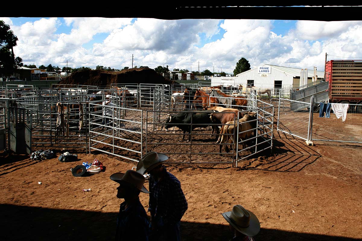 Australian-Rodeo-Cowboys72.jpg