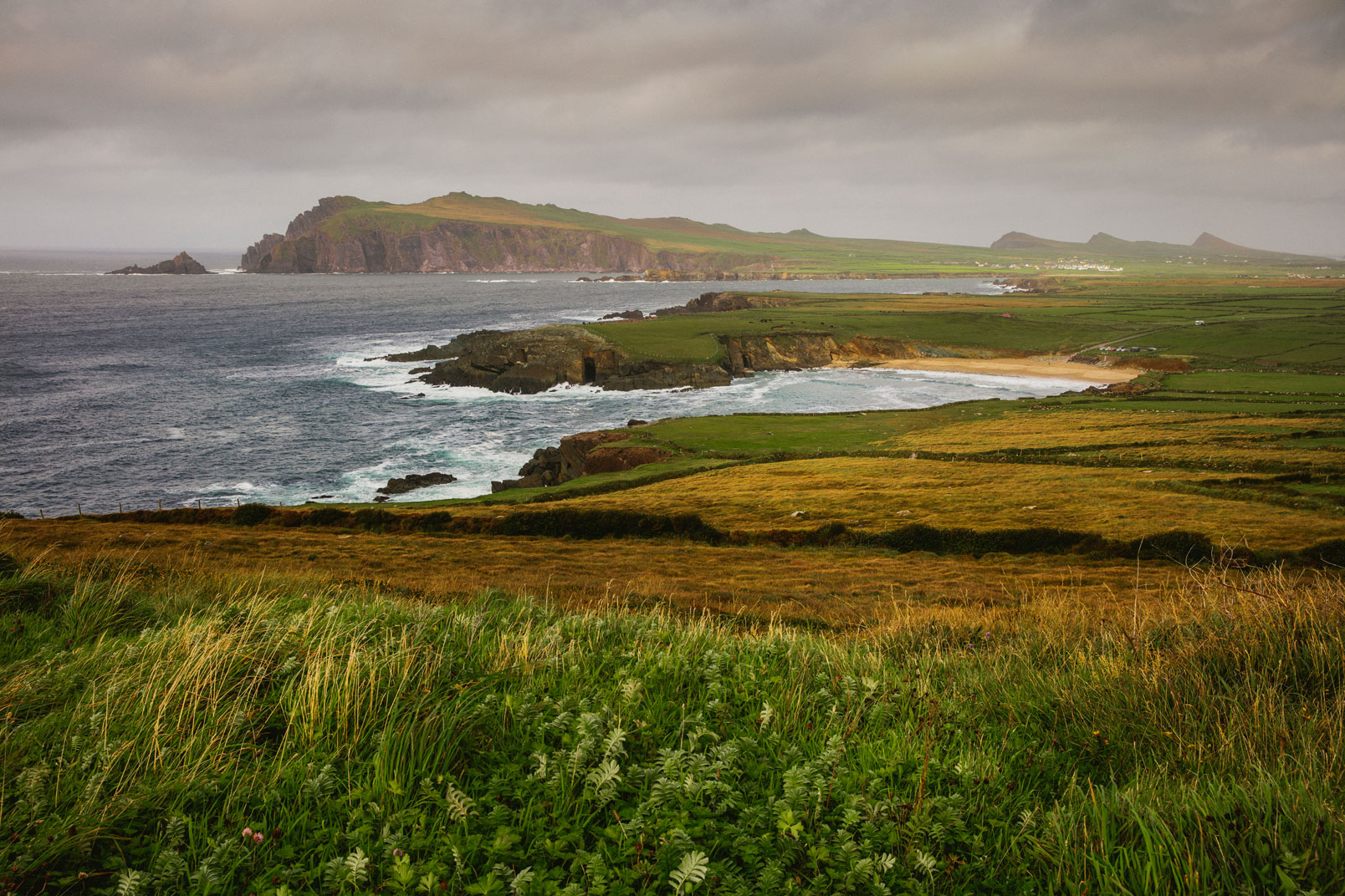 DINGLE-7