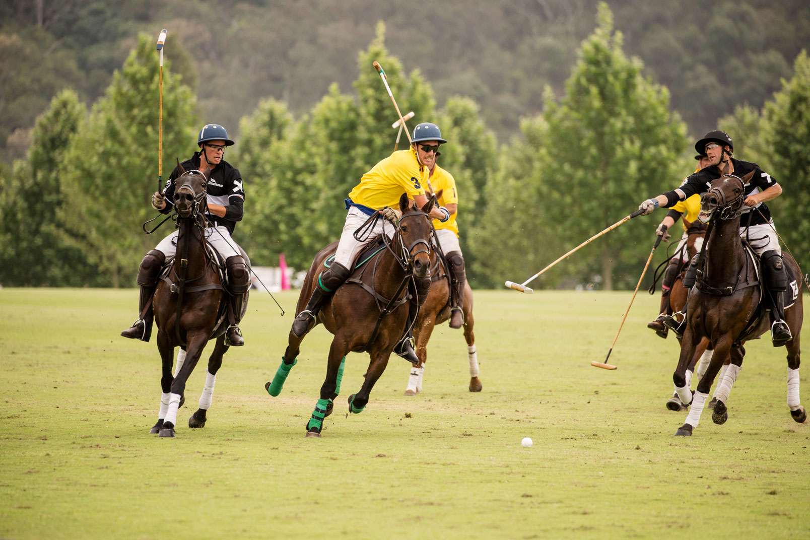 The Gold Cup at Sydney Polo Club