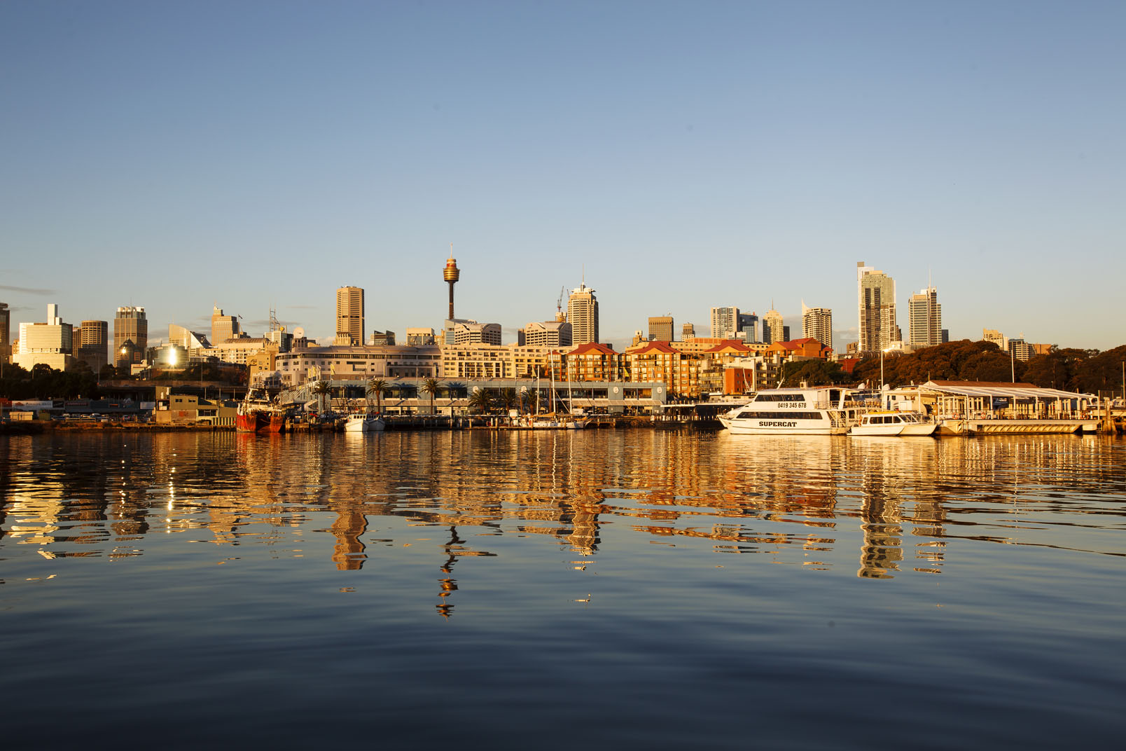 Fish Markets Sydney
