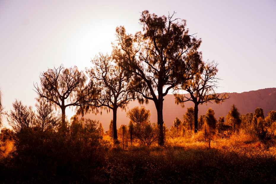 Parks-Australia_Uluru_JH-0027